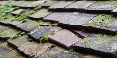 Wroxeter roof repair costs